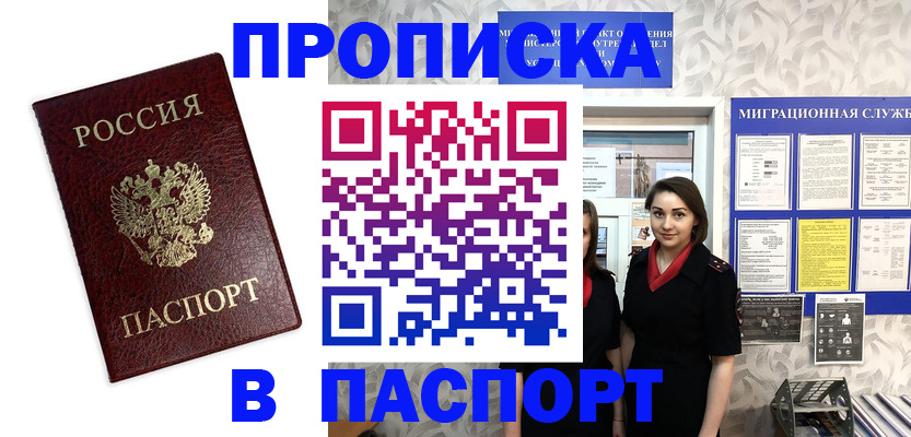 прописка 2025 в Елизово